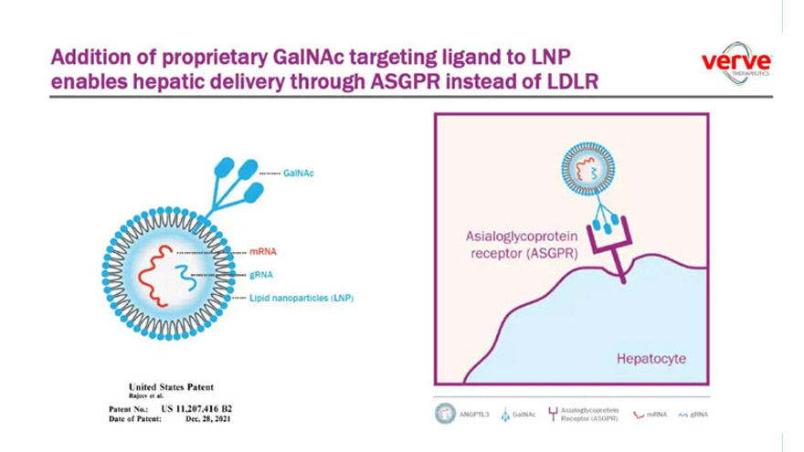 VLP、外泌体新型递送层出不穷，LNP、GalNAc成核酸递送主流，还有哪些新型递送蓄势待发？